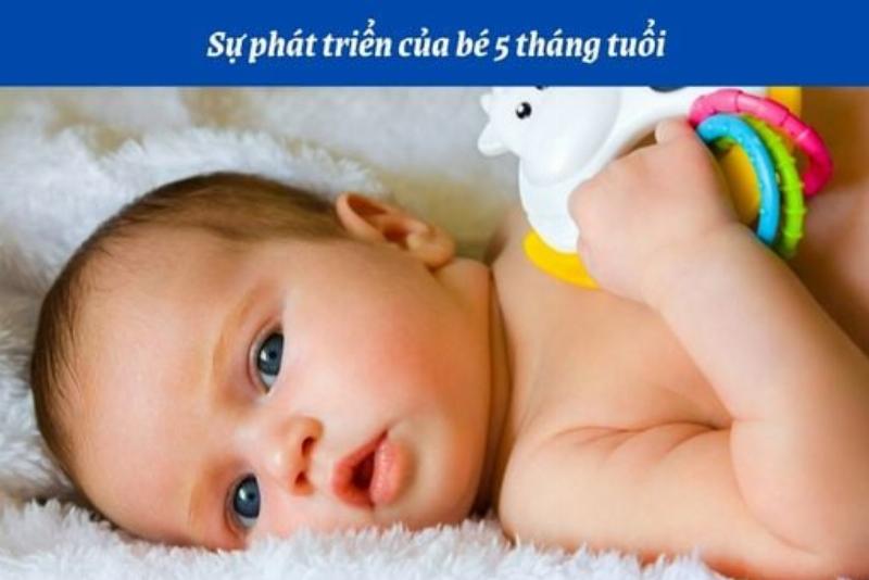 Cận cảnh khuôn mặt bình yên của em bé 2 tháng tuổi đang ngủ say trong chiếc địu, thể hiện sự an toàn và gần gũi