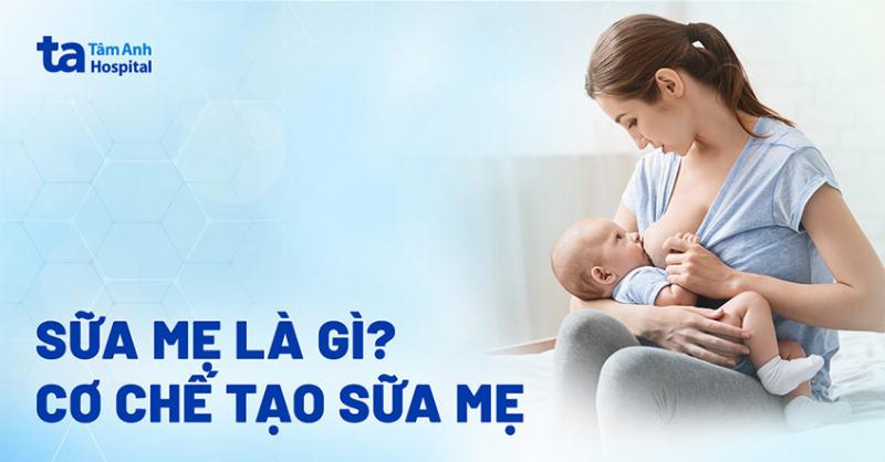 Lượng sữa bé sơ sinh cần theo từng ngày, từ sữa non đến sữa trưởng thành
