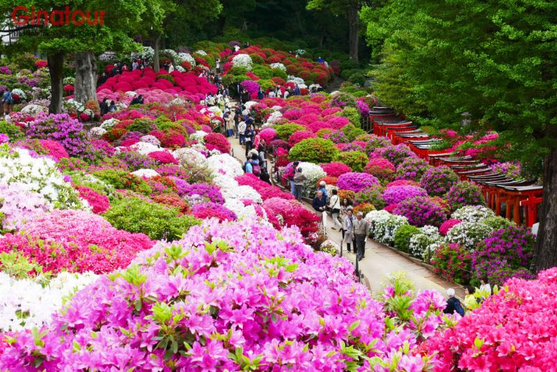 Biểu tượng mùa xuân và các sự kiện nổi bật diễn ra trong tháng March, mang ý nghĩa đặc biệt.