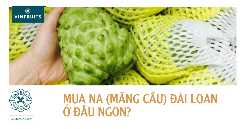 Quả na tươi ngon mang lại nhiều lợi ích sức khỏe tuyệt vời với tên gọi tiếng Anh là sugar-apple hoặc sweetsop