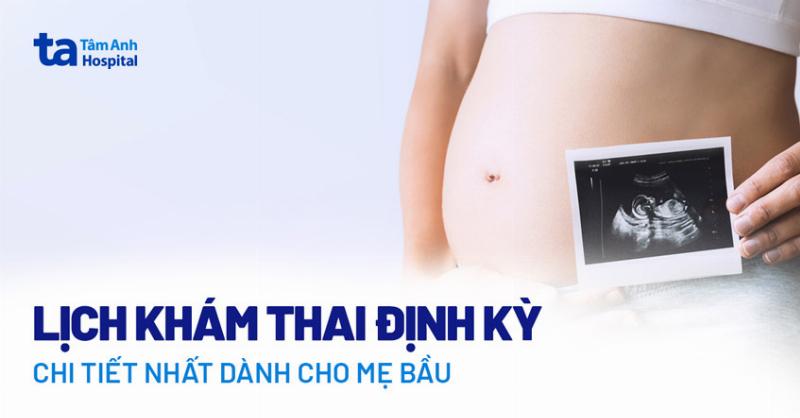 Hình ảnh bác sĩ sản khoa đang tư vấn cho mẹ bầu về ngày dự sinh và các mốc thai kỳ quan trọng trong buổi khám thai định kỳ