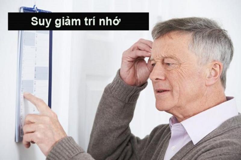 Hình minh họa các loại trí tuệ khác nhau biểu hiện qua các hoạt động đa dạng