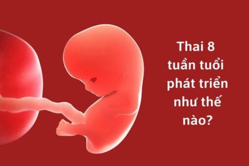 Hình ảnh biểu đồ hoặc minh họa giải đáp thắc mắc thường gặp về p/s nghĩa là gì và cách viết đúng
