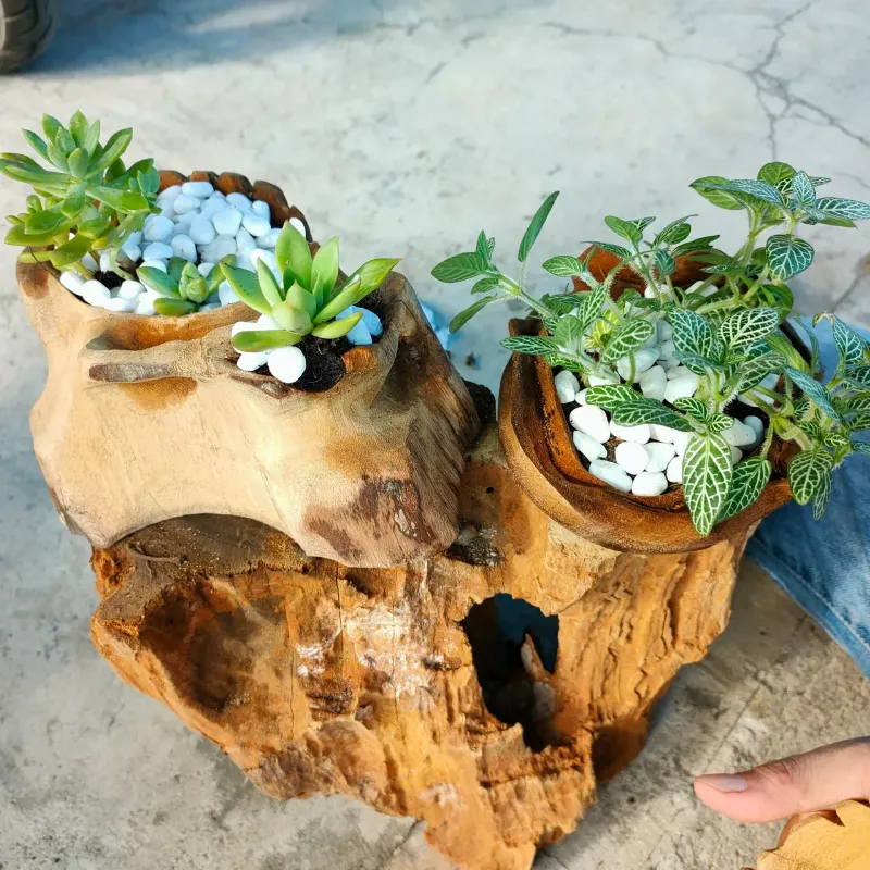 Em bé đáng yêu ngồi chơi đồ chơi trong phòng ngủ được trang trí màu xanh lá cây và đỏ, thể hiện sự hòa hợp với mệnh Hỏa năm 2025