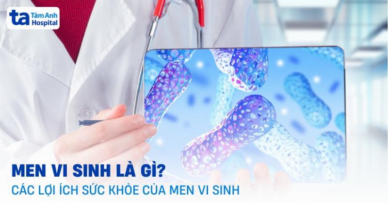 Hình ảnh minh họa các lợi khuẩn probiotics trong sữa chua lên men đang hoạt động trong đường ruột, giúp hệ tiêu hóa khỏe mạnh