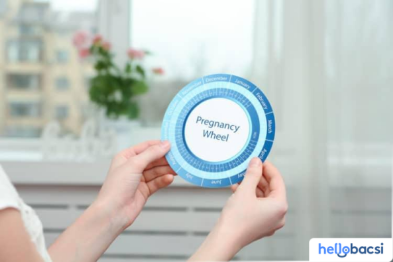 Minh họa việc tính ngày dự sinh chính xác dựa trên kết quả siêu âm thai kỳ sớm, cho thấy hình ảnh phôi thai và các chỉ số đo đạc quan trọng
