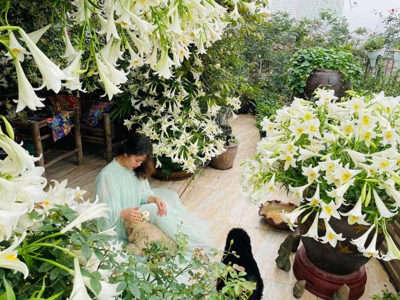Hình ảnh minh họa những cơn mưa tháng 4 trong tiếng Anh và những đóa hoa nở rộ