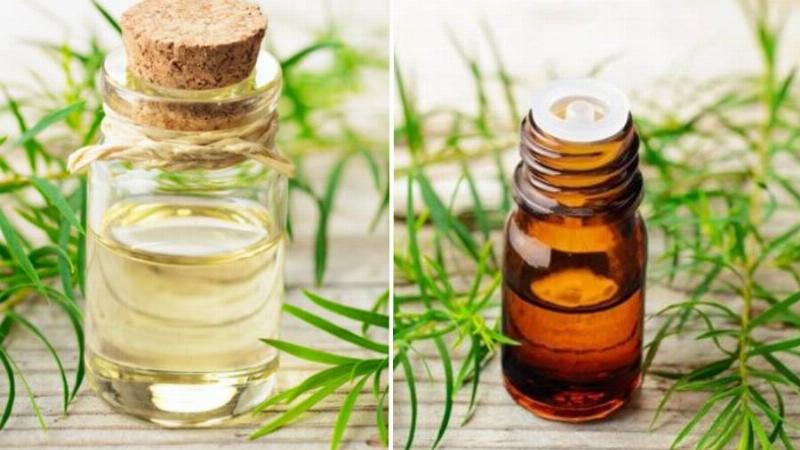 Hình ảnh mẹ đang massage nhẹ nhàng cho bé bằng dầu tràm, giúp bé thư giãn và giữ ấm cơ thể