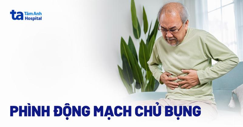 Hình minh họa giải phẫu đơn giản cho thấy vị trí của động mạch chủ bụng (abdominal aorta) trong cơ thể người, giải thích tại sao có thể cảm nhận mạch đập ở bụng.