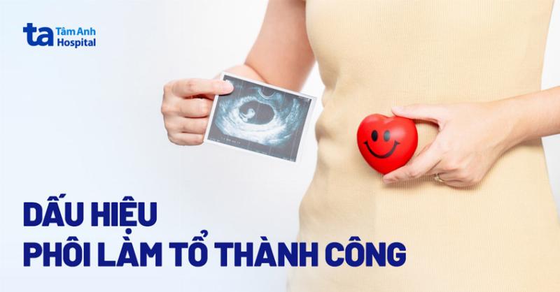 Hình ảnh minh họa hành trình phôi thai di chuyển từ ống dẫn trứng về tử cung trong 4 tuần đầu thai kỳ