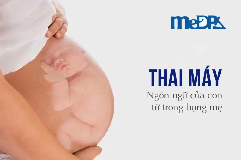 Mẹ bầu tuần 20 cảm nhận thai máy và kết nối yêu thương