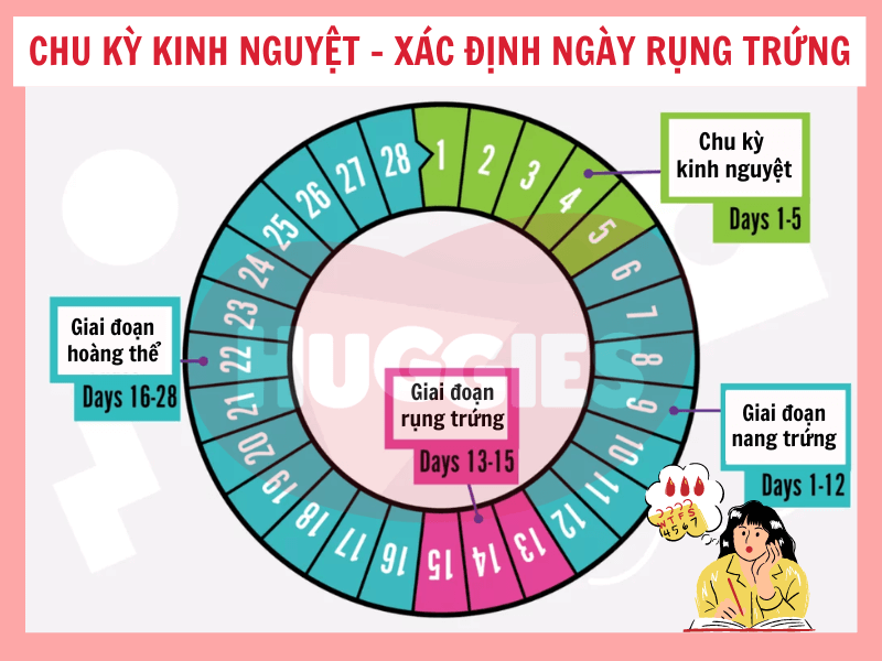 Mẹo quản lý thời gian và công việc hiệu quả để tính toán thuận tiện hơn
