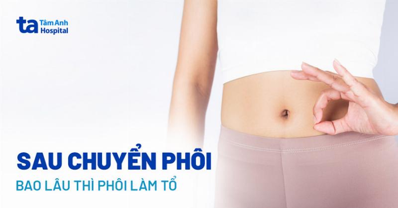 Hình ảnh minh họa quá trình phôi thai làm tổ sâu trong niêm mạc tử cung