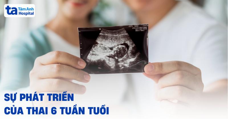 Hình ảnh siêu âm tim thai 6 tuần rõ nét trong tử cung, biểu tượng của sự sống mới đang phát triển