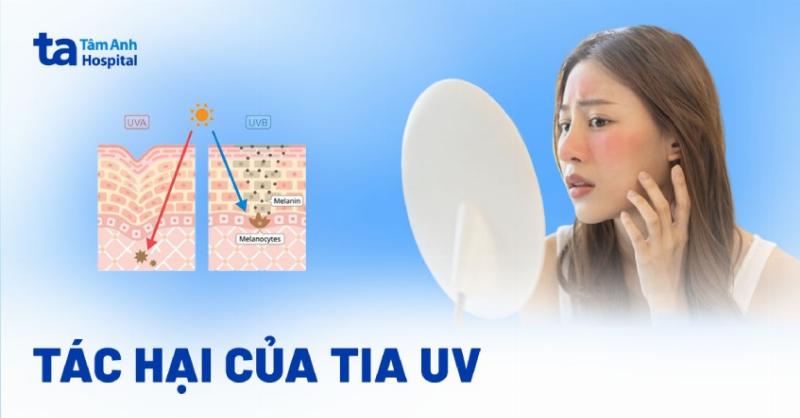 Hình ảnh minh họa tác hại của tia tử ngoại lên da, từ cháy nắng đến lão hóa và ung thư da