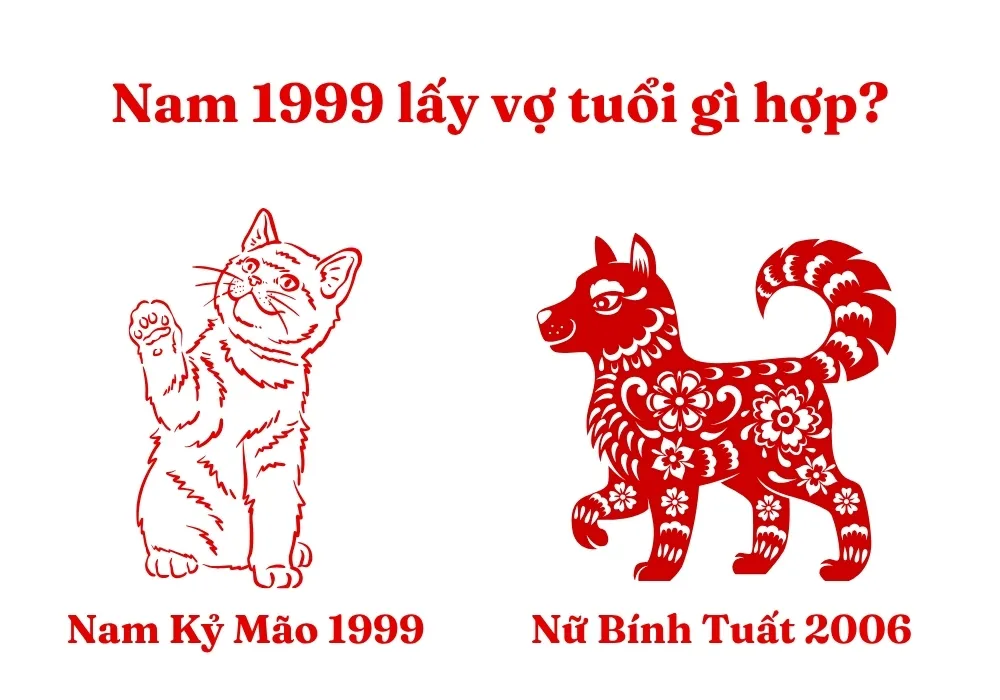 Đánh giá sự hòa hợp khi nam 1999 kết hôn với nữ Bính Tuất 2006