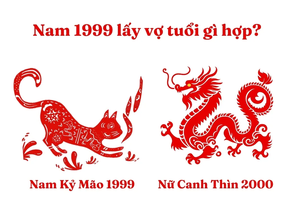 Phân tích tuổi vợ hợp cho nam Kỷ Mão 1999: Nữ Canh Thìn 2000