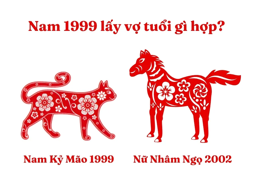 Tuổi vợ lý tưởng cho nam 1999: Nữ Nhâm Ngọ 2002