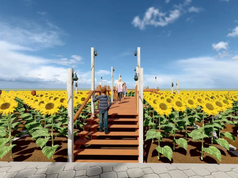 Xác định phương hướng giúp việc hoạch định trồng trọt thuận tiện