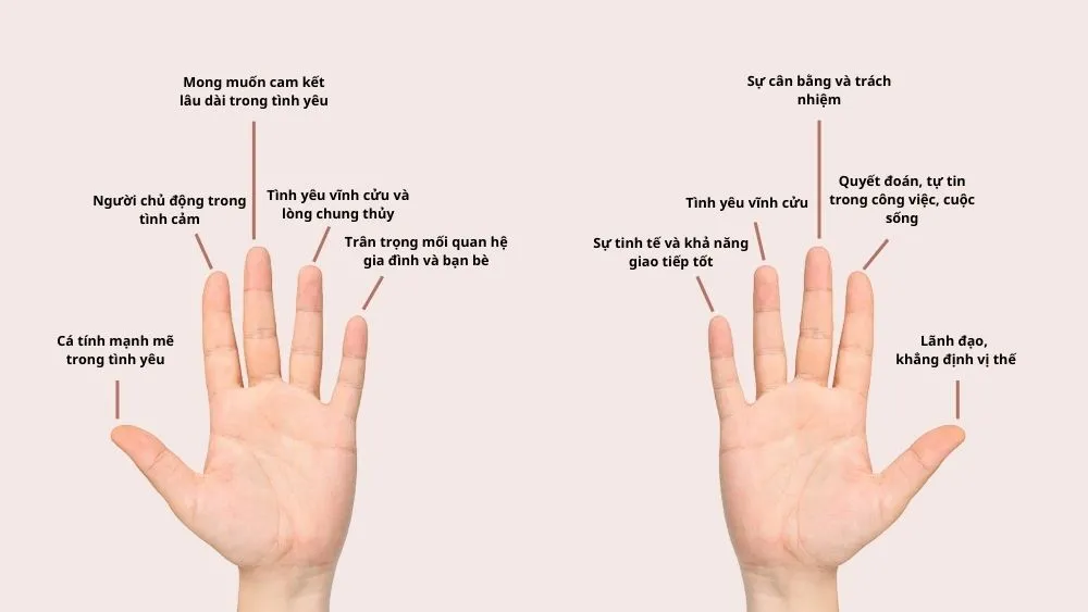 Tổng quan ý nghĩa ngón tay đeo nhẫn của nam theo từng bàn tay