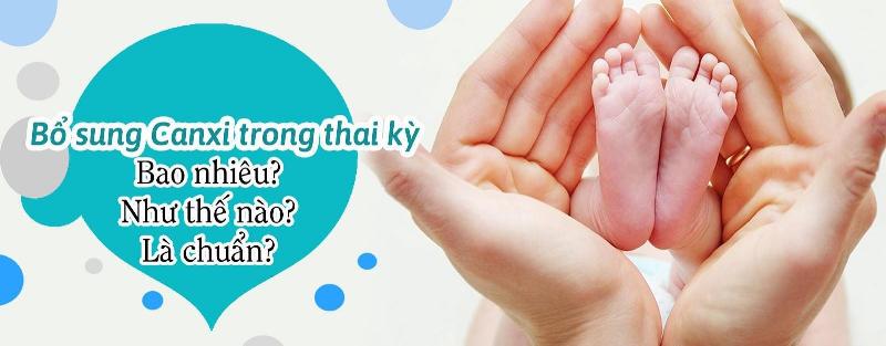 Các loại sữa cho bà bầu