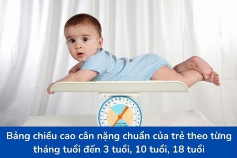 Hinh anh so sanh truc quan 1 met va 10 deximet giup ban hinh dung de hon