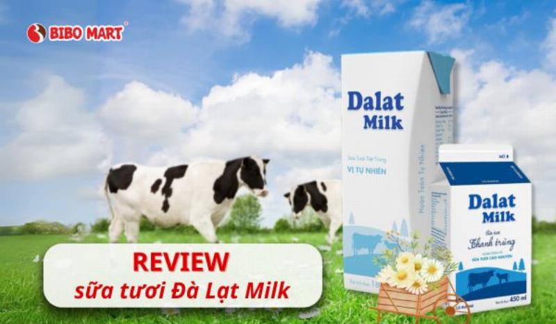 Các loại sữa tươi Đà Lạt Milk phổ biến trên thị trường Việt Nam, giúp mẹ lựa chọn phù hợp nhu cầu dinh dưỡng gia đình