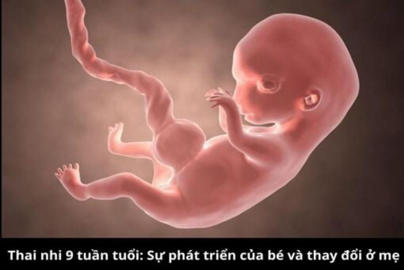 Theo dõi cân nặng trẻ sơ sinh tại nhà định kỳ giúp mẹ nắm bắt sự phát triển của bé yêu một cách chính xác nhất
