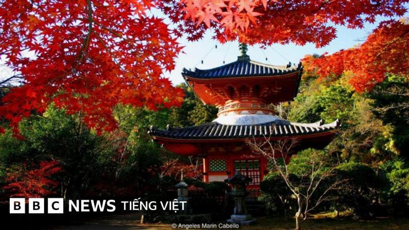 Hình ảnh minh họa các bàn tay đang nối lại với nhau hoặc mầm cây đang vươn lên, tượng trưng cho sự kết nối và hy vọng, thể hiện tác động lan tỏa của việc chia sẻ câu chuyện bảo vệ môi trường, liên quan đến viết đoạn văn kể lại một việc làm góp phần bảo vệ môi trường
