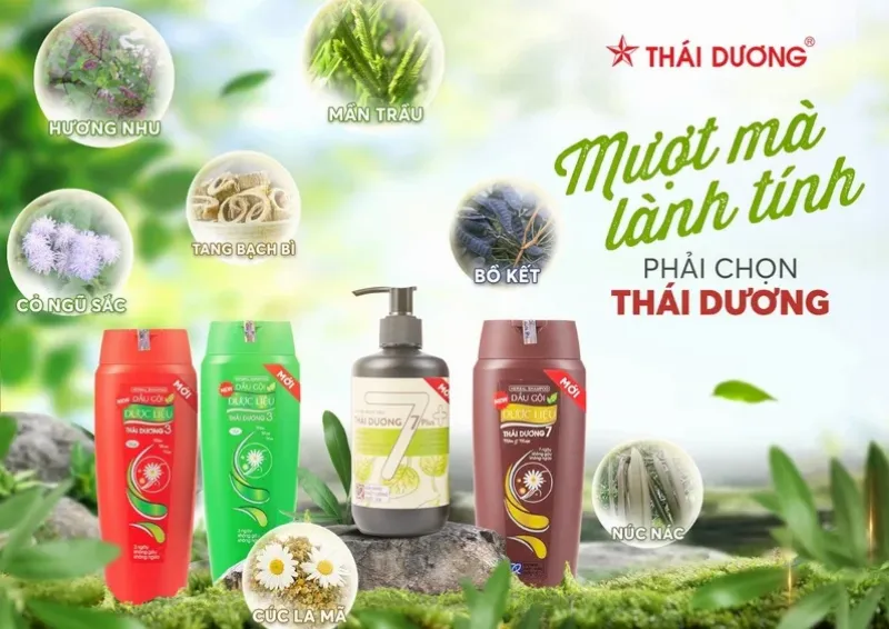 Hình ảnh minh họa các bước gội đầu đúng cách với dầu gội Thái Dương 7 Plus