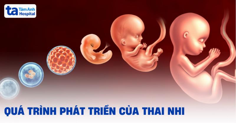 Một người mẹ mang bầu 25 tuần đang nhẹ nhàng đặt tay lên bụng, mỉm cười khi cảm nhận những cử động của thai nhi, thể hiện sự gắn kết và hạnh phúc.