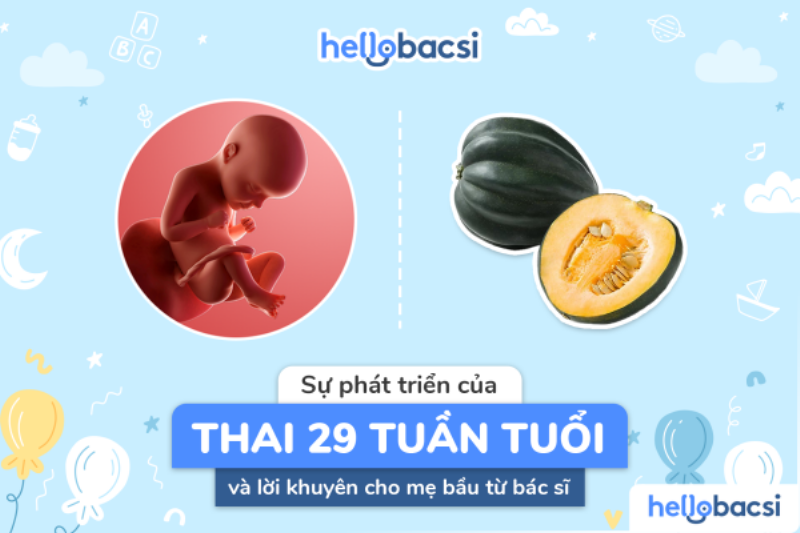 Thai nhi 29 tuần phát triển thế nào bên trong bụng mẹ bầu, kích thước và cân nặng