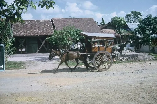 Di tích lịch sử địa đạo Củ Chi