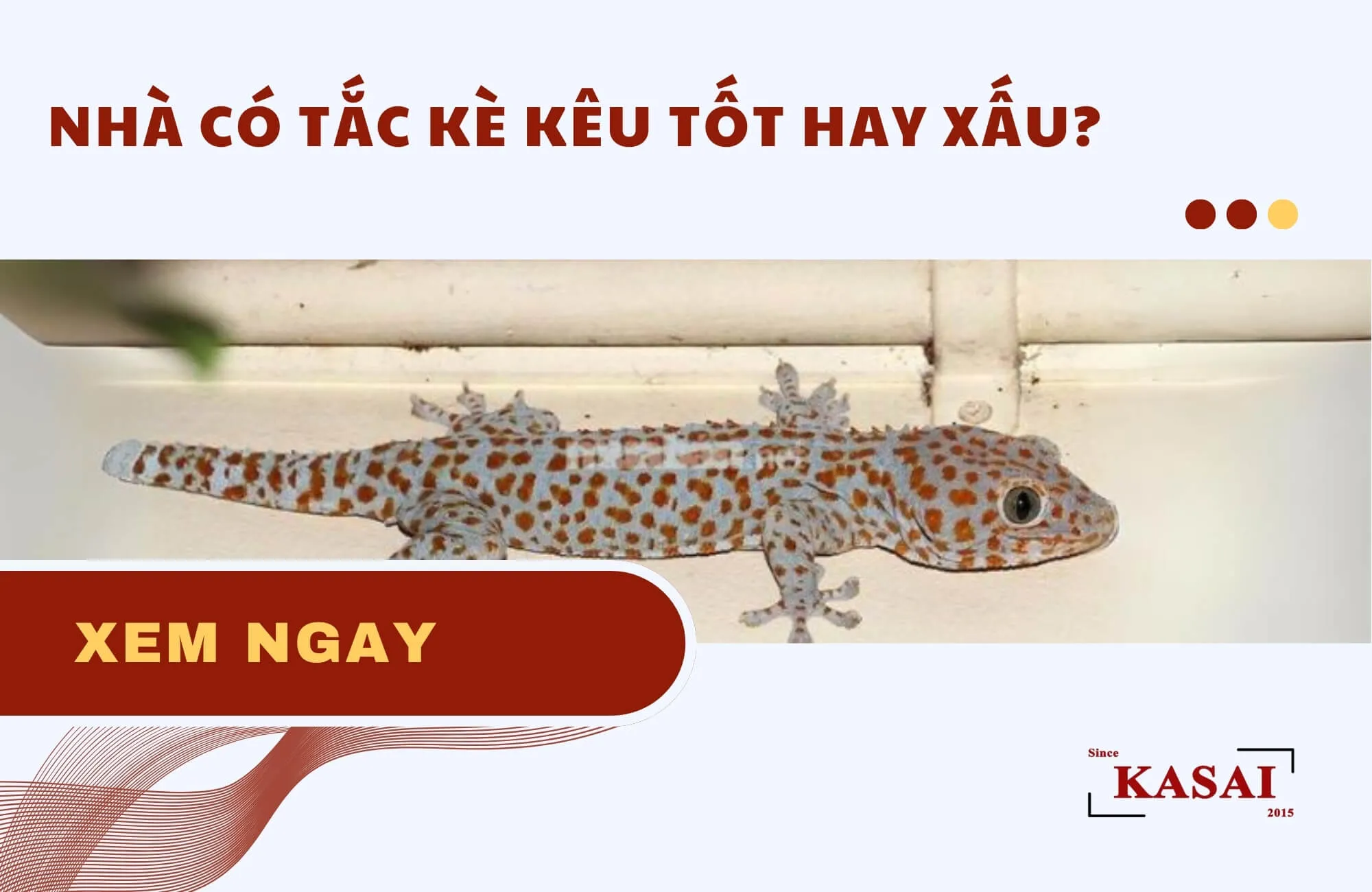 Tắc kè trên tường nhà, biểu tượng cho những điềm báo phong thủy trong gia đình Việt
