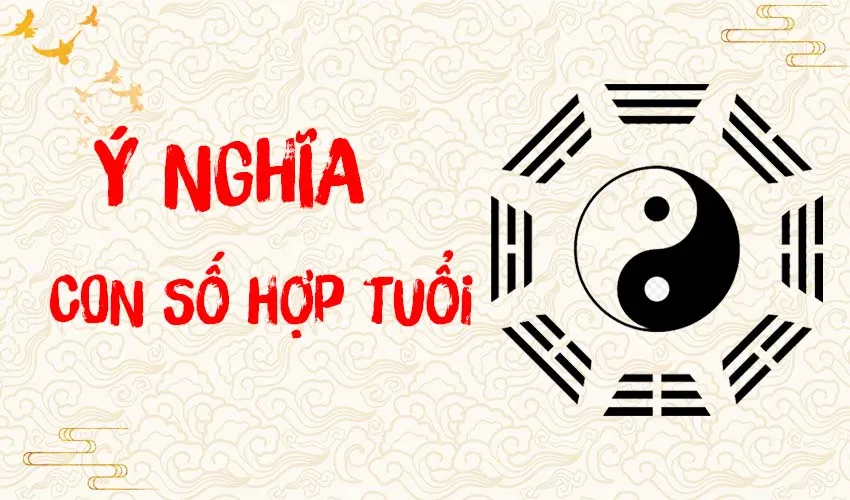 Con số may mắn mang lại thịnh vượng cho tuổi Nhâm Dần
