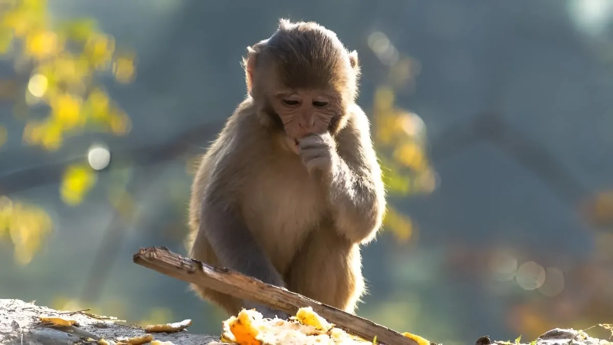 Các câu hỏi thường gặp về phong thủy người sinh năm 2004