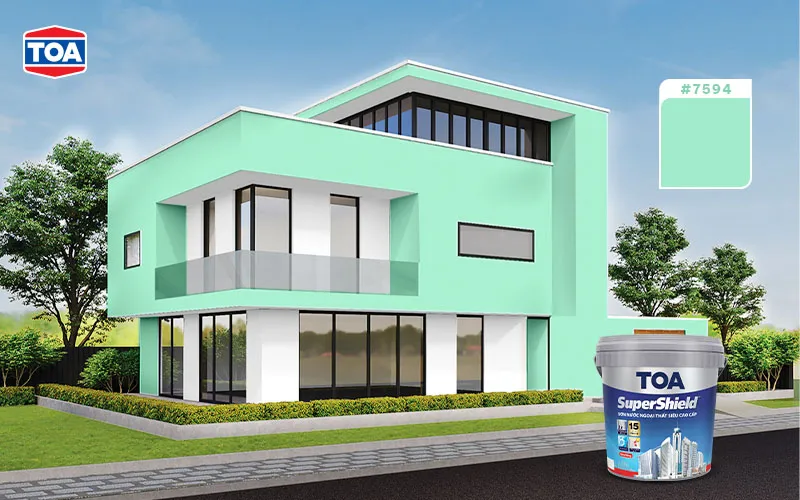 Bảng màu phong thủy gợi ý các sắc thái xanh lá, xanh dương và đen phù hợp với người mệnh Mộc