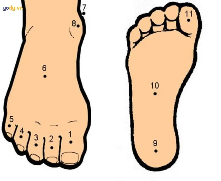Nốt ruồi ở bàn chân tốt hay xấu theo nhân tướng học